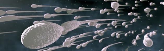 اسباب الالم بعد القذف عند الرجل