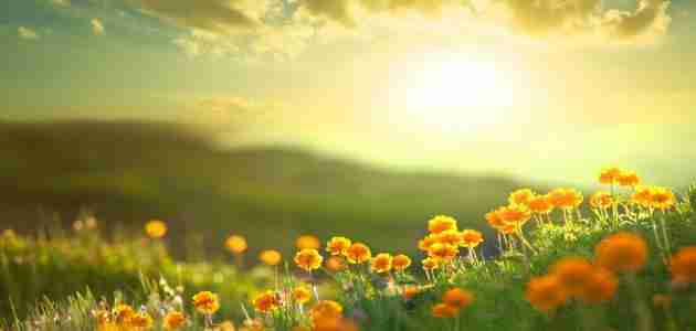 دعاء الصباح مكتوب دعاء الصباح مكتوب