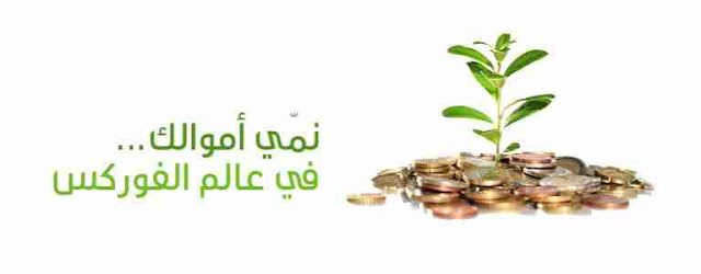 نموذج الخفاش في الفوركس Forex