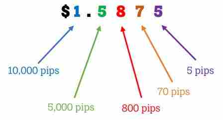 فوائد استخدام أداة pip لقياس المكسب والخسارة في سوق الفوركس Forex
